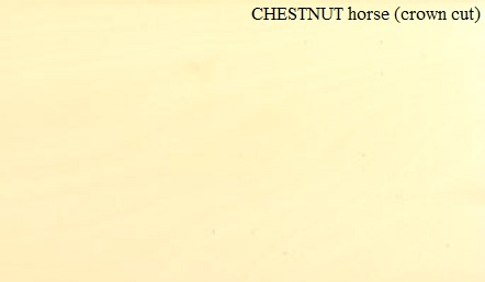 Chestnut Horse Crown