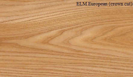Elm EuropeanCrown Wood Veneer