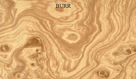 Burr Wood Veneer