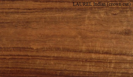 Indian Laurel crown wood veneer