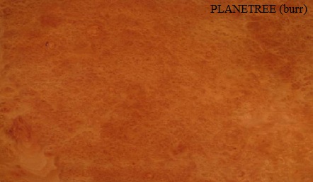 Planetree Burr Wood Veneer