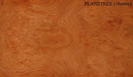 Planetree Cluster Wood Veneer