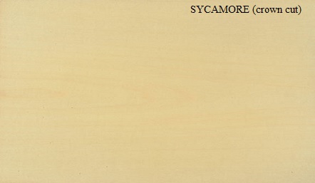 Sycamore Crown Cut wood veneer