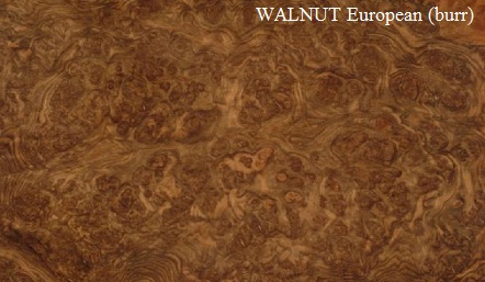 Walnut European Burr Wood Veneer