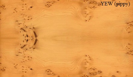 Yew Pippy Wood Veneer